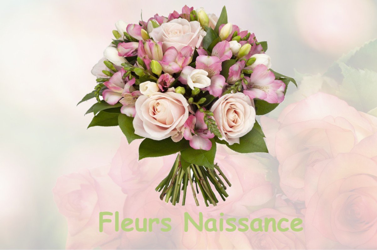 fleurs naissance SAINTE-FLORENCE